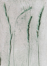 Load image into Gallery viewer, Wabi-sabi