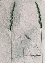 Load image into Gallery viewer, Desert