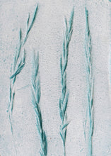 Load image into Gallery viewer, Fresh dawn