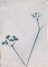 Load image into Gallery viewer, Silent walk