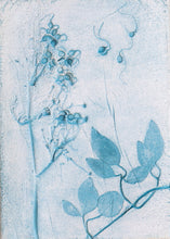 Load image into Gallery viewer, Feather dance