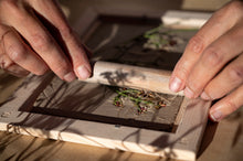 Load image into Gallery viewer, Falling asleep