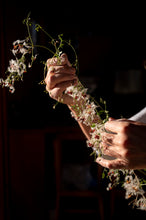 Load image into Gallery viewer, Beautiful mess