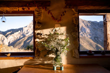 Load image into Gallery viewer, Silent walk